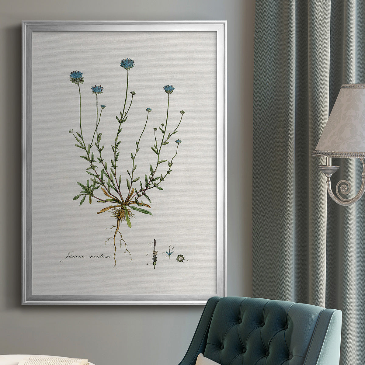 Bellflower Study - Modern Framed Canvas Print