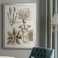 Sepia Botanical Journal VII - Modern Framed Canvas Print