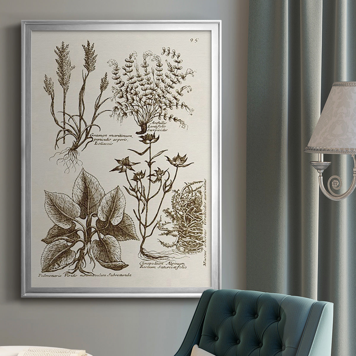 Sepia Botanical Journal VII - Modern Framed Canvas Print