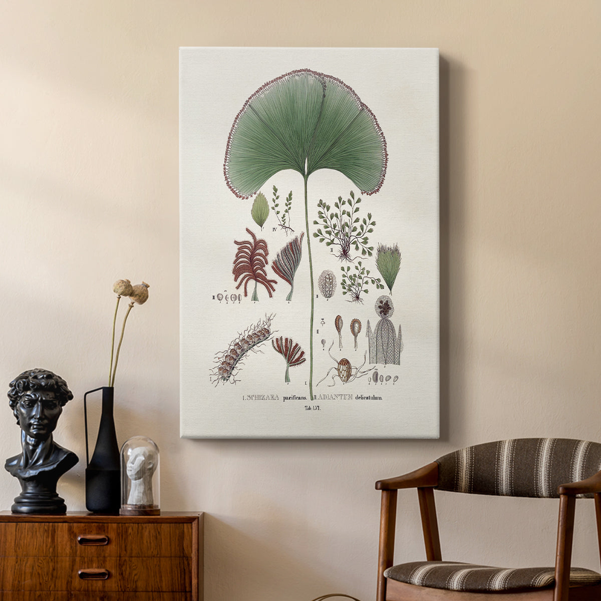 Botanical Society Ferns III - Canvas Art Print