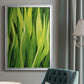 Blades of Grass II - Modern Framed Canvas Print