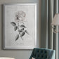 Vintage Botanical I - Modern Framed Canvas Print