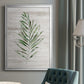 Tropic Frond II - Modern Framed Canvas Print