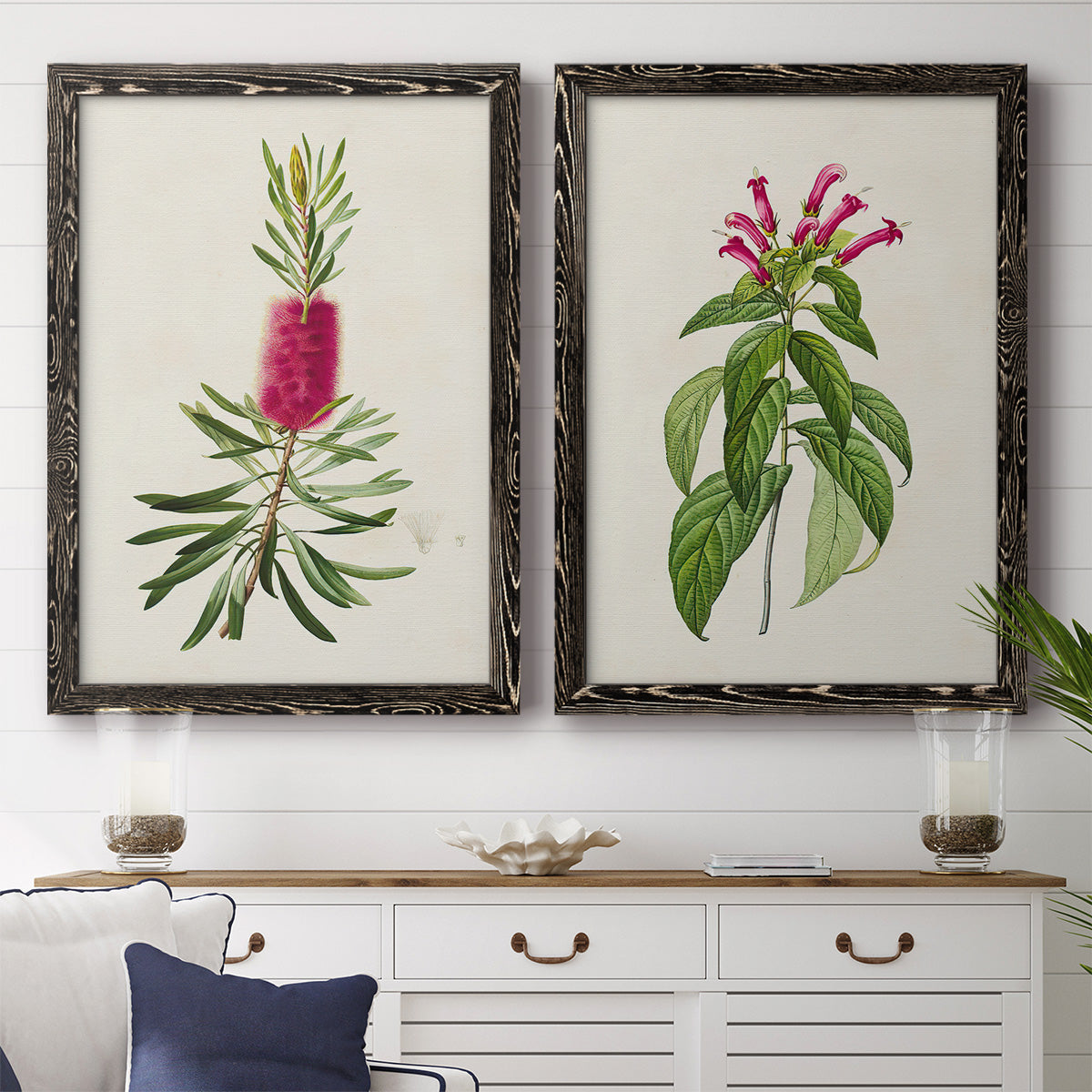 Set of two black barnwood framed canvas prints depicting a coordinated art pair of pink flowering plant specimens rendered as vintage botanical plate illustrations above a dining room sideboard.