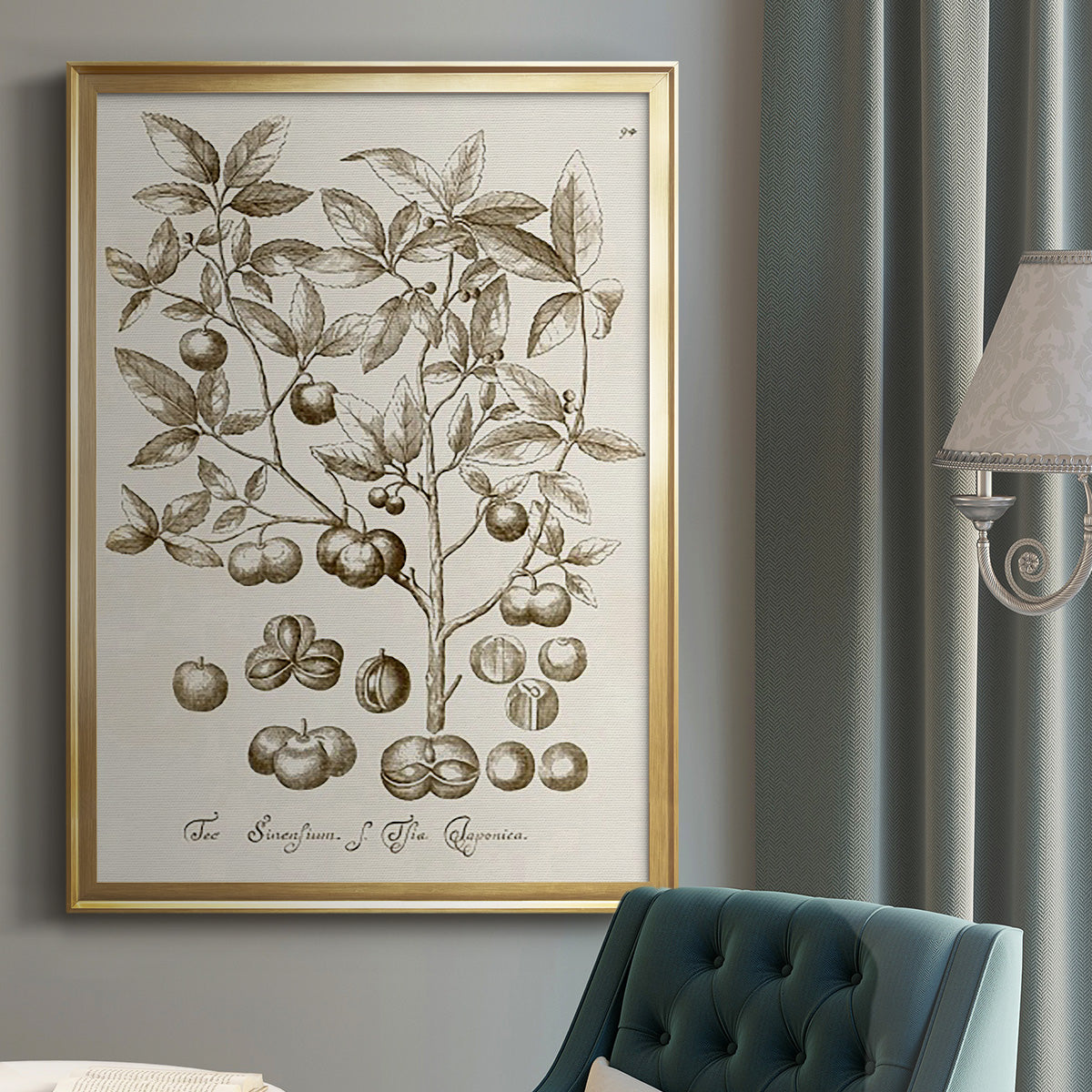 Sepia Botanical Journal II - Modern Framed Canvas Print