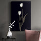 Tulip Pose II - Canvas Art Print