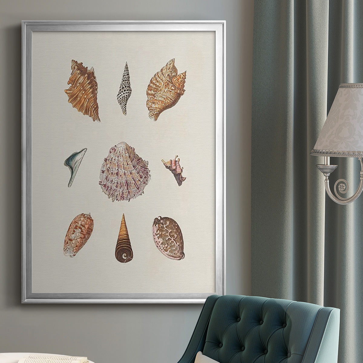 Knorr Shells & Coral VI - Modern Framed Canvas Print