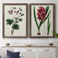 Set of two walnut barnwood framed canvas prints depicting a coordinated art pair of colorful flowering plant specimens rendered as antique botanical plate illustrations above a dining room sideboard.