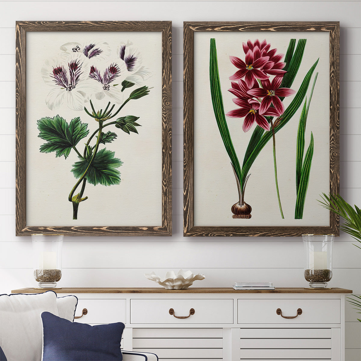 Set of two walnut barnwood framed canvas prints depicting a coordinated art pair of colorful flowering plant specimens rendered as antique botanical plate illustrations above a dining room sideboard.