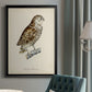 French Owls I - Modern Framed Canvas Print