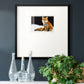 Fox- Premium Framed Print Double Matboard