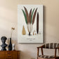 Botanical Society Ferns I - Canvas Art Print