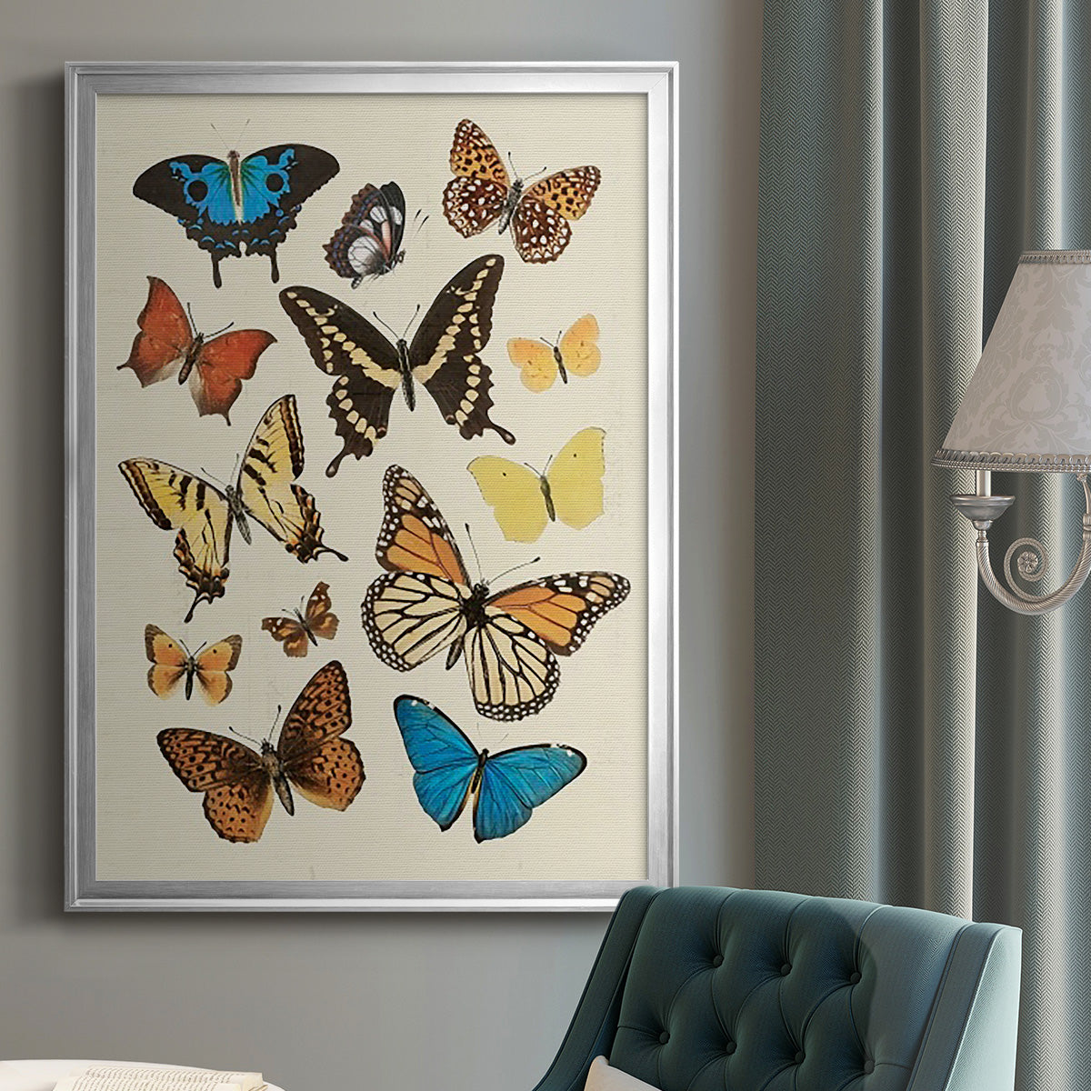 Collected Flutter II - Modern Framed Canvas Print