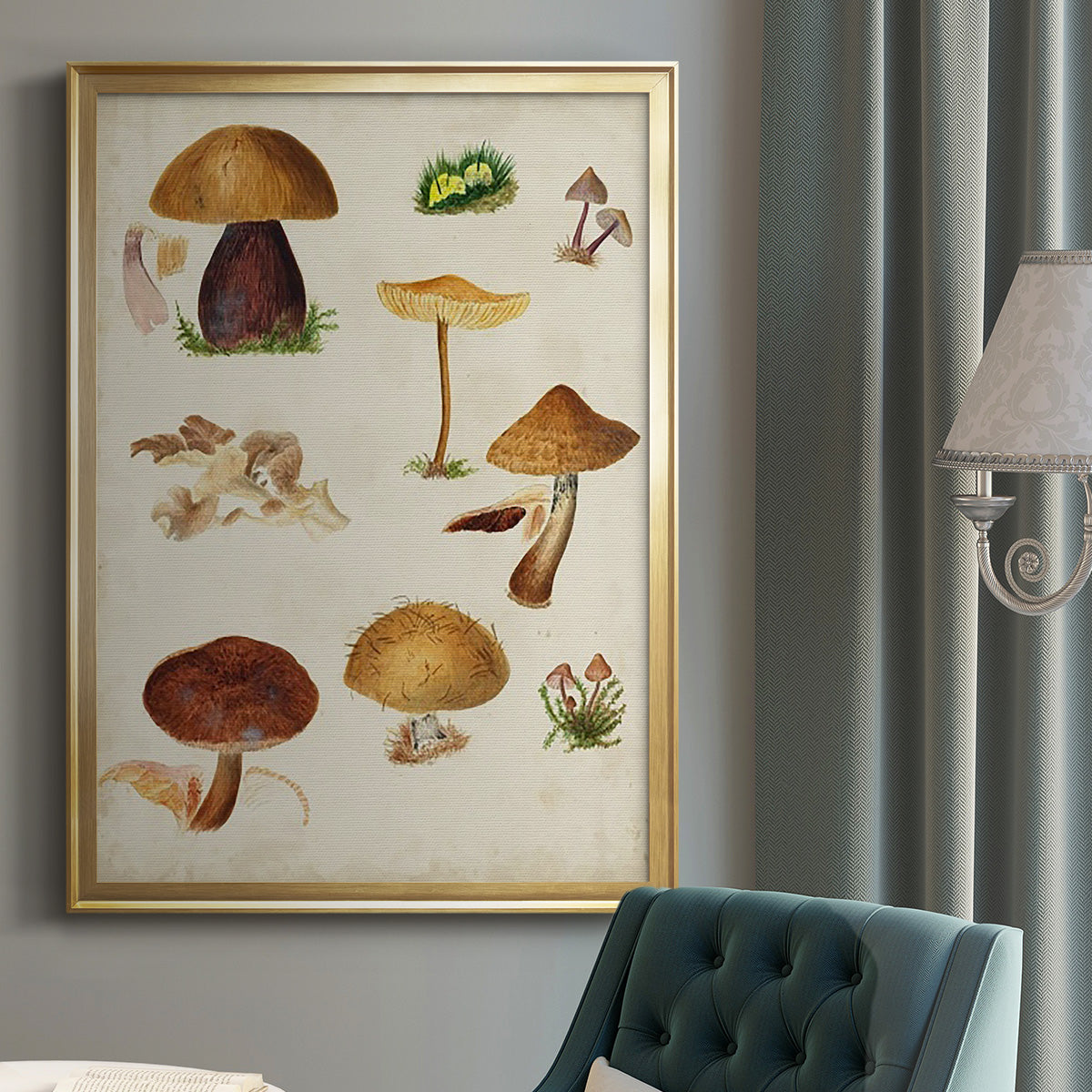 Mushroom Species II - Modern Framed Canvas Print