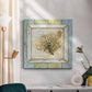 Sea Treasures III - Canvas Art Print