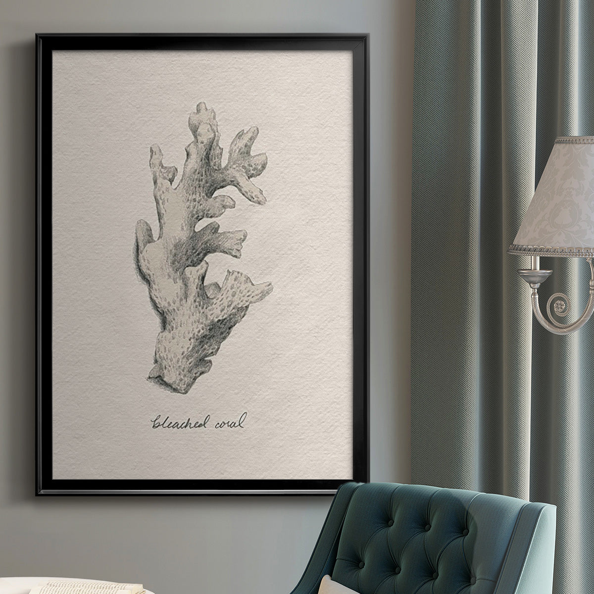 Shore Treasure Study II - Modern Framed Canvas Print