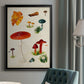 Mushroom Species VIII - Modern Framed Canvas Print