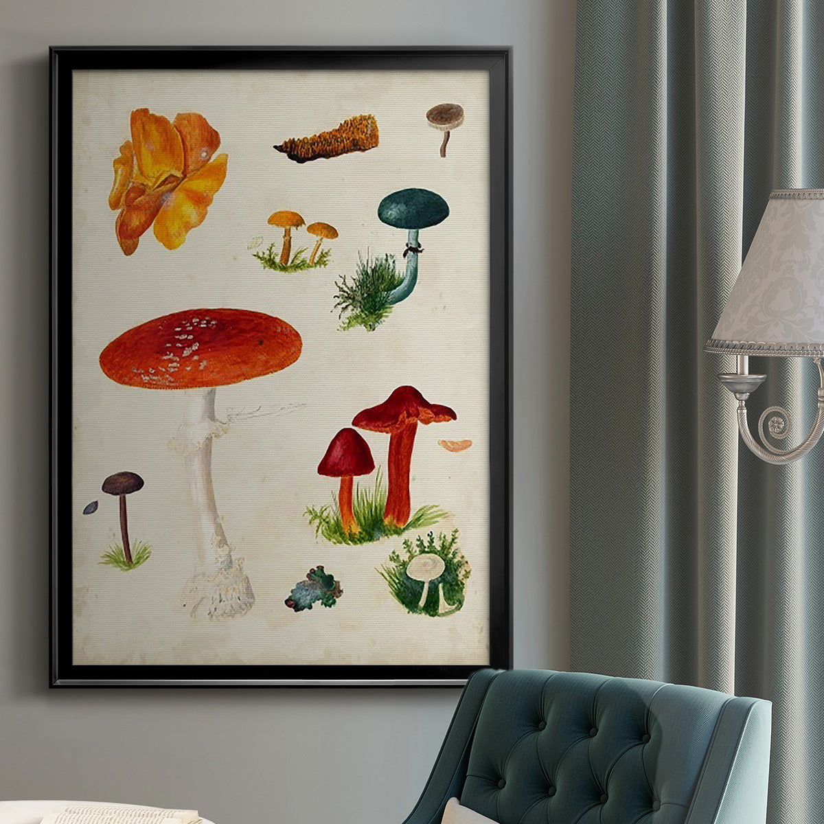 Mushroom Species VIII - Modern Framed Canvas Print