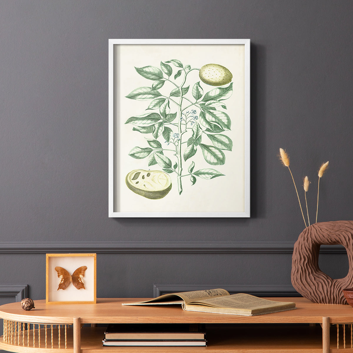 Buchoz Tropicals III - Restickable Framed Art Print