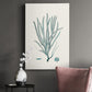 Antique Coastal Coral VII Premium Gallery Wrapped Canvas - Ready to Hang