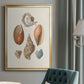 Knorr Shells & Coral I - Modern Framed Canvas Print