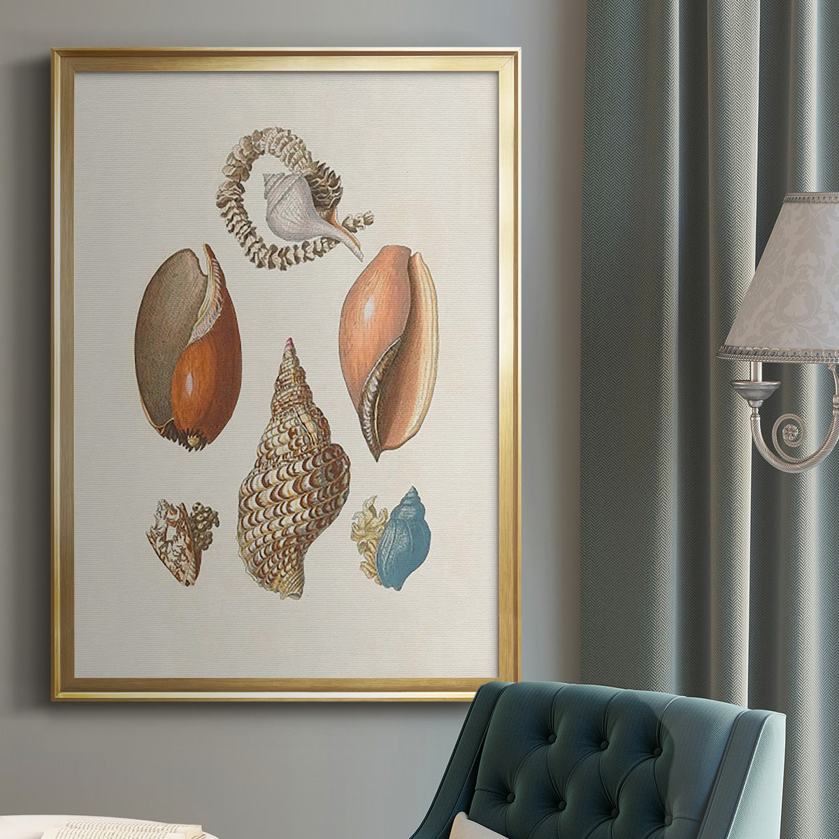 Knorr Shells & Coral I - Modern Framed Canvas Print