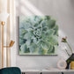 Verdant Succulent II-Premium Gallery Wrapped Canvas - Ready to Hang