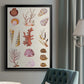 Coral & Shell Collage II -  Framed Canvas Print