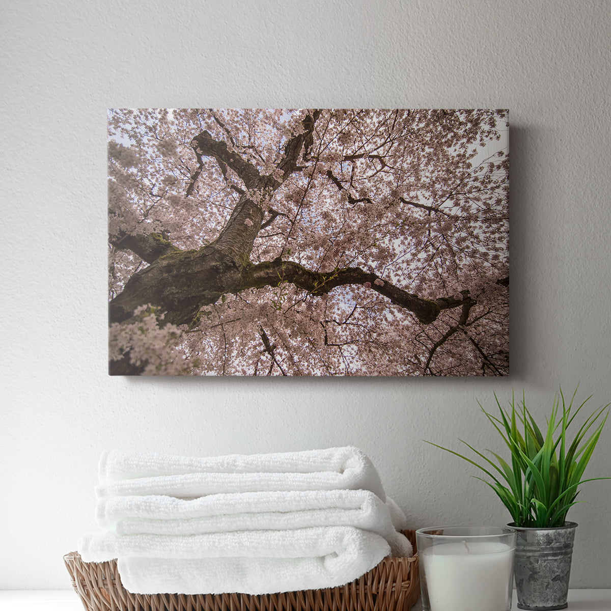 Spring's Arrival - Canvas Art Print