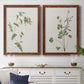 Wispy Botanical I - Premium Framed Canvas 2 Piece Set - Ready to Hang