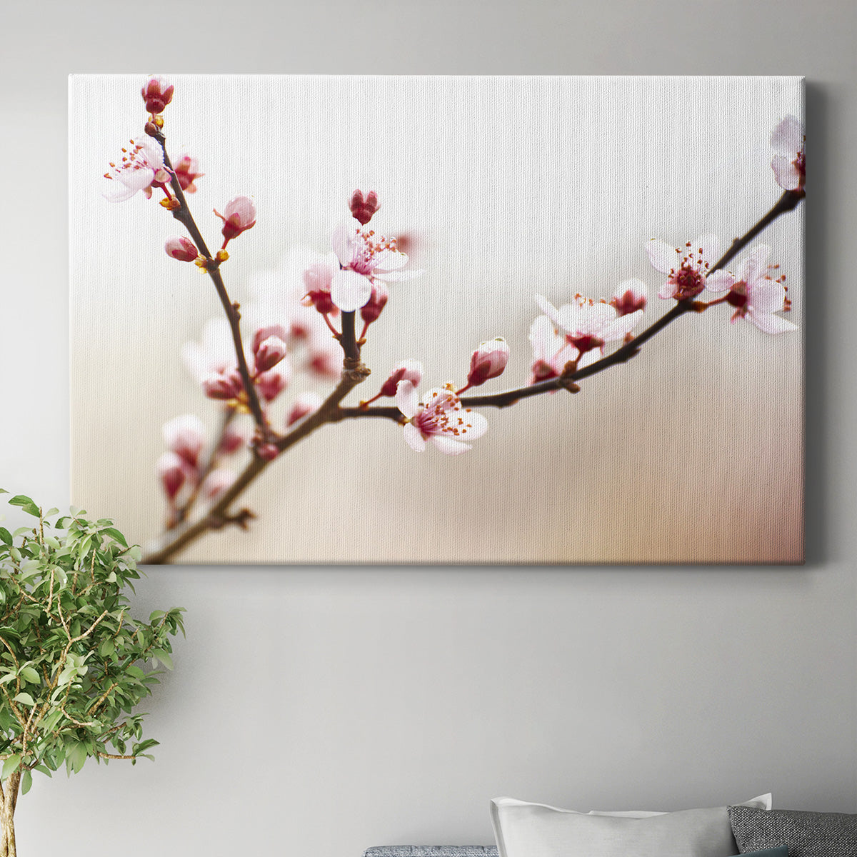 Cherry Blossom Study I Premium Gallery Wrapped Canvas - Ready to Hang