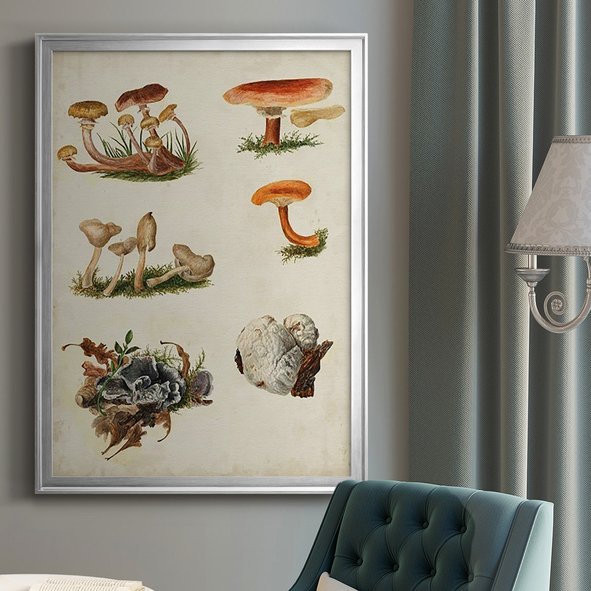Mushroom Species X - Modern Framed Canvas Print