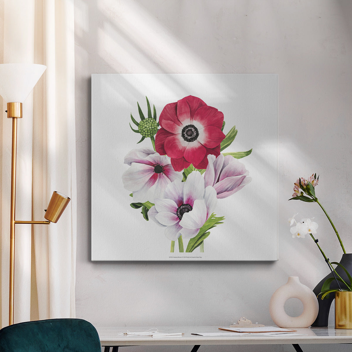 Anemone Blooms I - Canvas Art Print