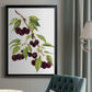 Watercolor Cherries - Modern Framed Canvas Print