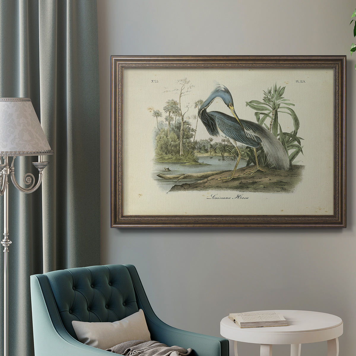 Audubons Louisiana Heron Premium Framed Canvas- Ready to Hang