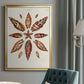 Spiral Shell Formation I - Modern Framed Canvas Print