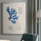 Blue Marine Algae VIII - Modern Framed Canvas Print