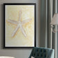 Salty Seashell I - Modern Framed Canvas Print