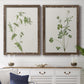 Wispy Botanical I - Premium Framed Canvas 2 Piece Set - Ready to Hang