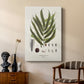 Botanical Society Ferns II - Canvas Art Print