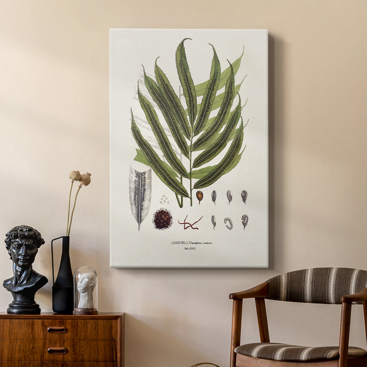Botanical Society Ferns II - Canvas Art Print