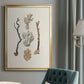 Knorr Shells & Coral V - Modern Framed Canvas Print