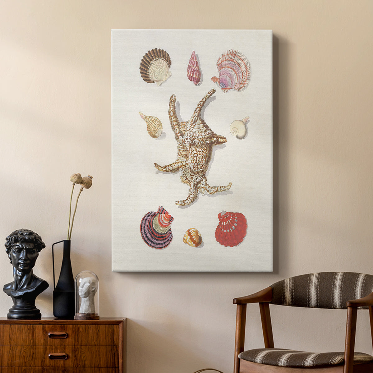 Knorr Shells & Coral II - Canvas Art Print