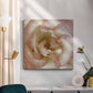 Wall Flower VI-Premium Gallery Wrapped Canvas - Ready to Hang