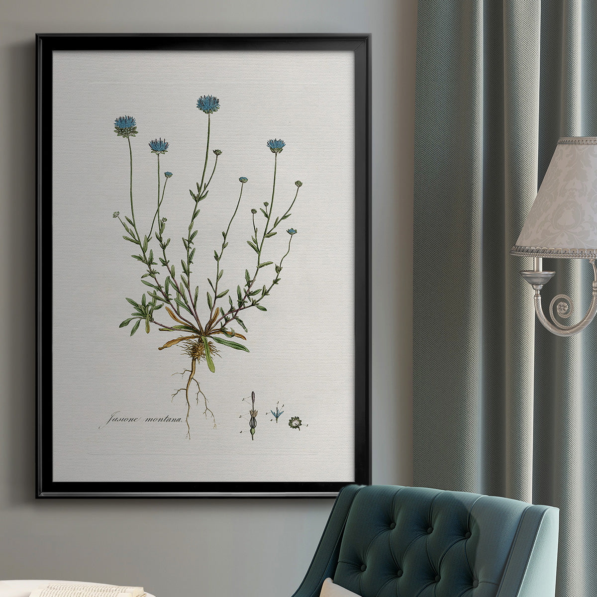 Bellflower Study - Modern Framed Canvas Print