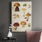 Mushroom Species II Premium Gallery Wrapped Canvas - Ready to Hang