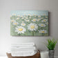 Field of Flowers - Canvas Art Print