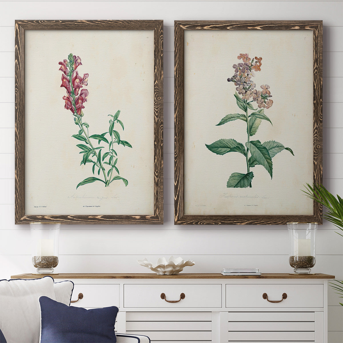 Set of two walnut barnwood framed canvas prints depicting antique floral illustrations featuring a tall red bloom and a clustered mauve flower above a dining room sideboard.
