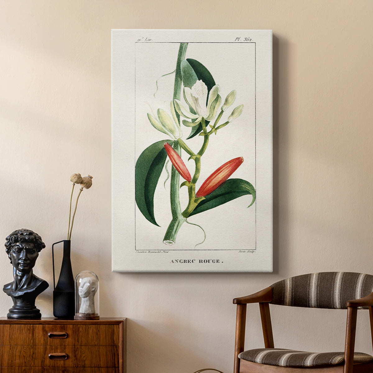 Turpin Tropical Botanicals IX - Canvas Art Print