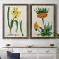Set of two walnut barnwood framed canvas prints depicting a coordinated art pair of colorful flowering plant specimens rendered as antique botanical plate illustrations above a dining room sideboard.